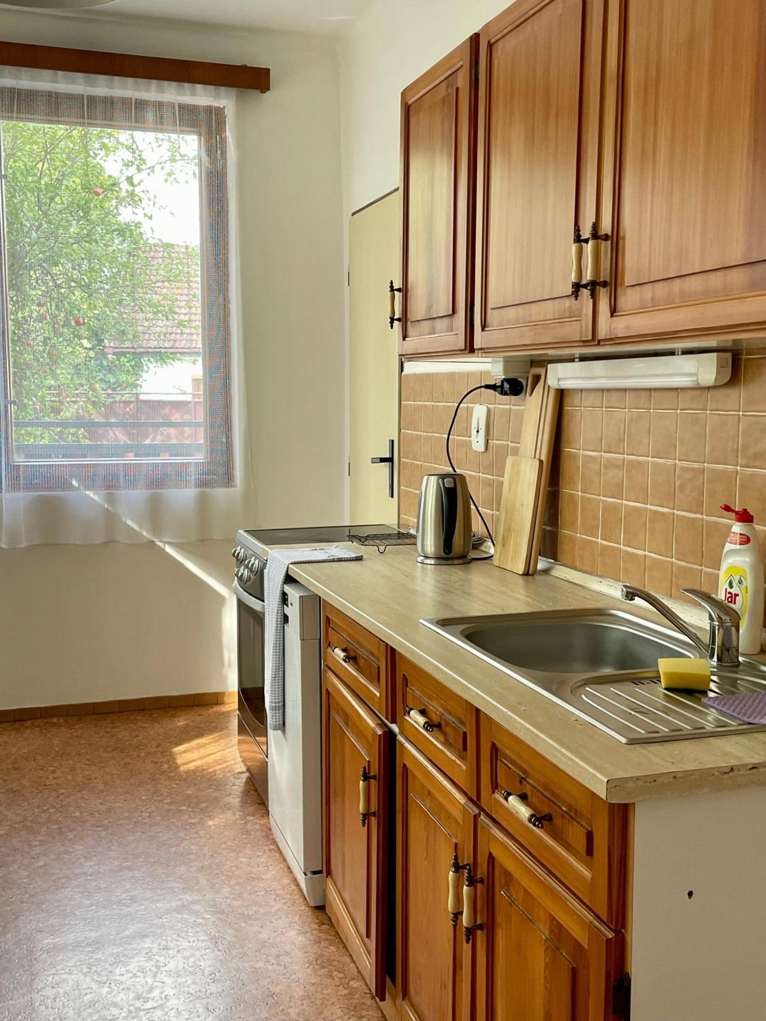 Apartment S Terasou Lysa Lysá nad Labem Esterno foto